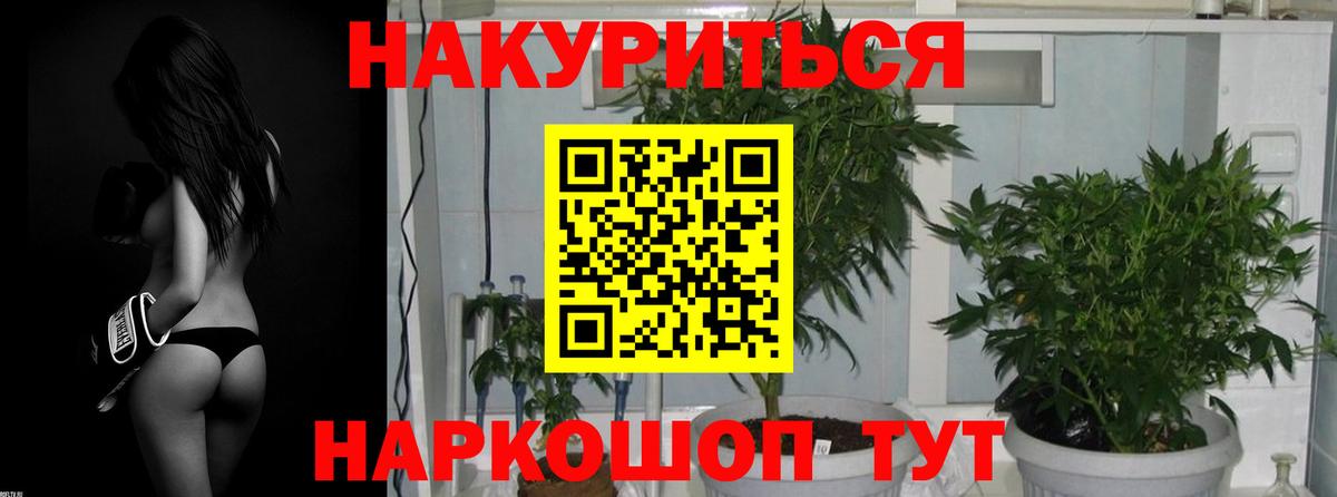 Конопля планчик  Марихуана планчик  Новотроицк  Вход с VPN 